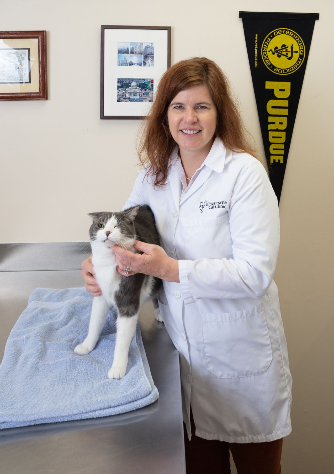 Cat specialist hot sale veterinarian