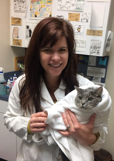 cat specialist veterinarian