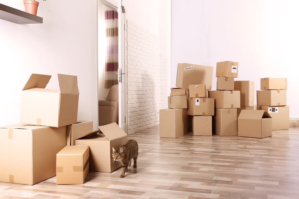 House,Move,Concept.,Carton,Boxes,On,Floor,In,Room